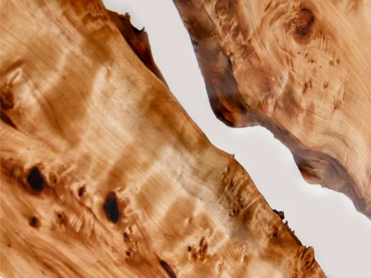 Poplar material sample